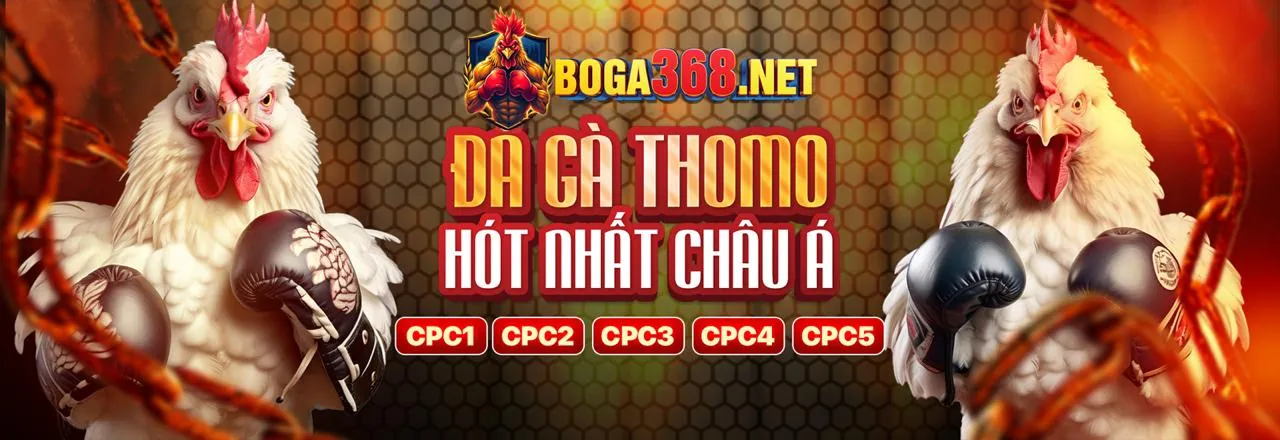 Đá gà trực tiếp thabet88 info